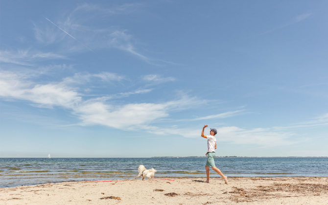 Strand beim Dornbuschkliff auf Hiddensee mit Hund