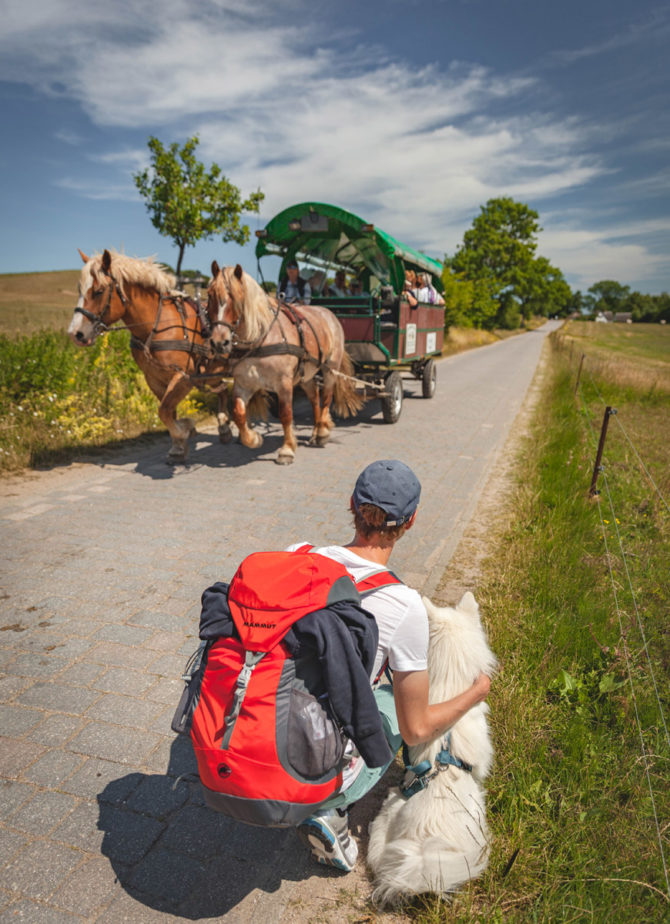 Pferdekutsche auf der autofreien Insel Hiddensee